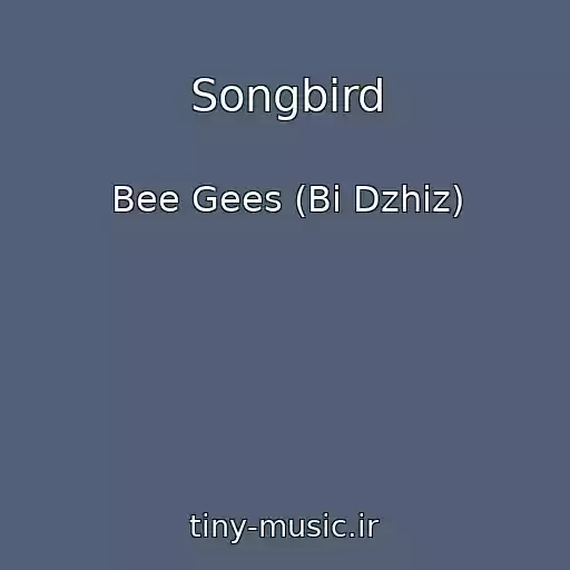 کاور آهنگ Songbird از Bee Gees (Bi Dzhiz)