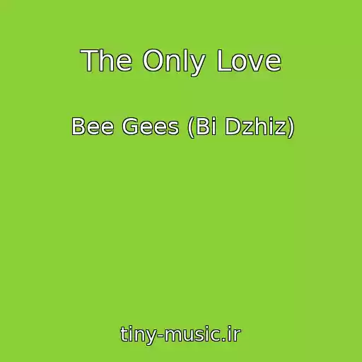 کاور آهنگ The Only Love از Bee Gees (Bi Dzhiz)