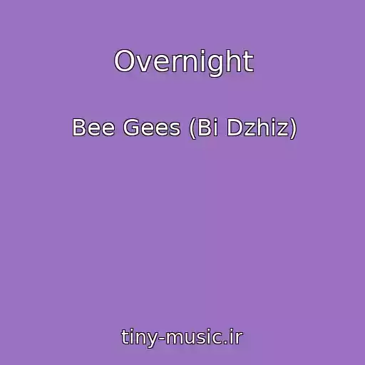 کاور آهنگ Overnight از Bee Gees (Bi Dzhiz)