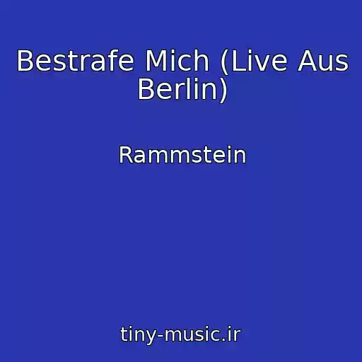 کاور آهنگ Bestrafe Mich (Live Aus Berlin) از Rammstein