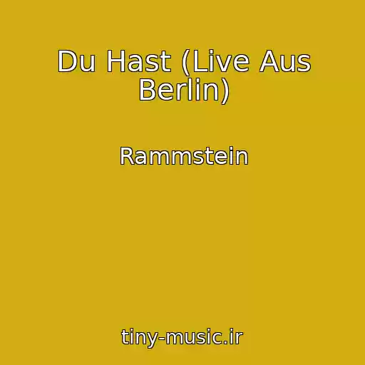 کاور آهنگ Du Hast (Live Aus Berlin) از Rammstein