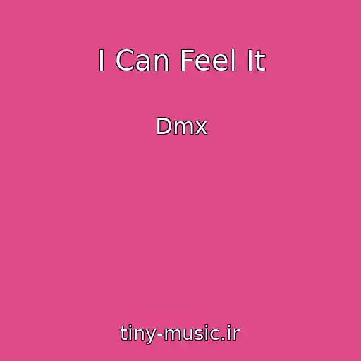 کاور آهنگ I Can Feel It از Dmx