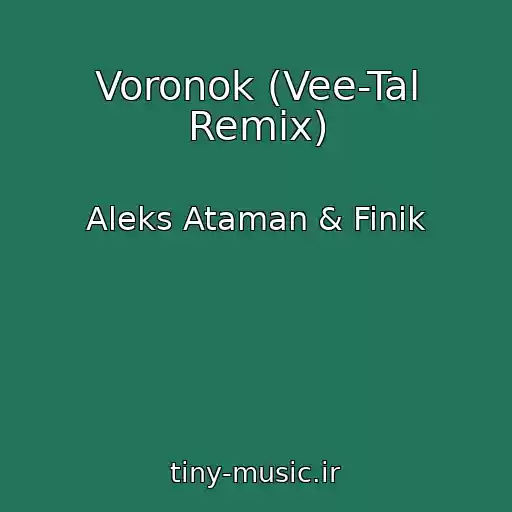 کاور آهنگ Voronok (Vee-Tal Remix) از Aleks Ataman & Finik