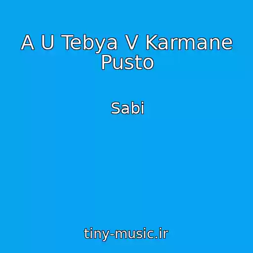 کاور آهنگ A U Tebya V Karmane Pusto از Sabi