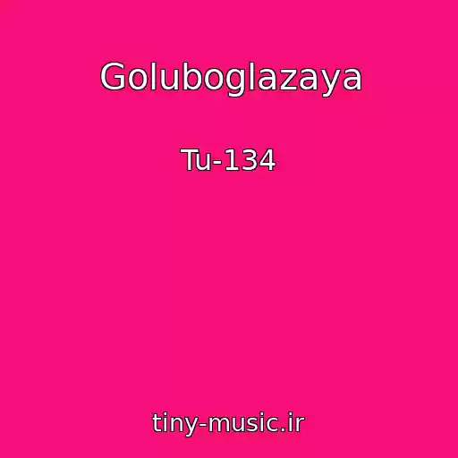 کاور آهنگ Goluboglazaya از Tu-134