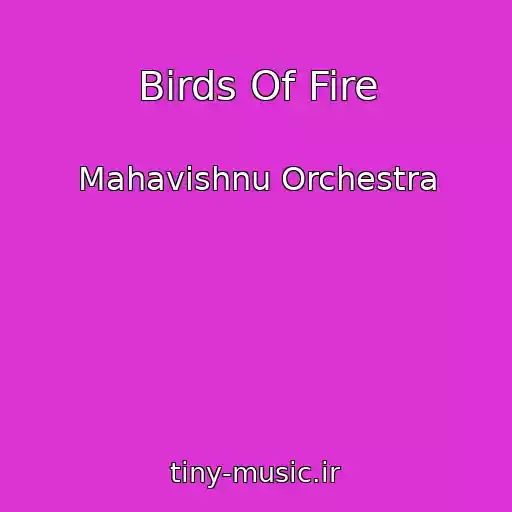 کاور آهنگ Birds Of Fire از Mahavishnu Orchestra