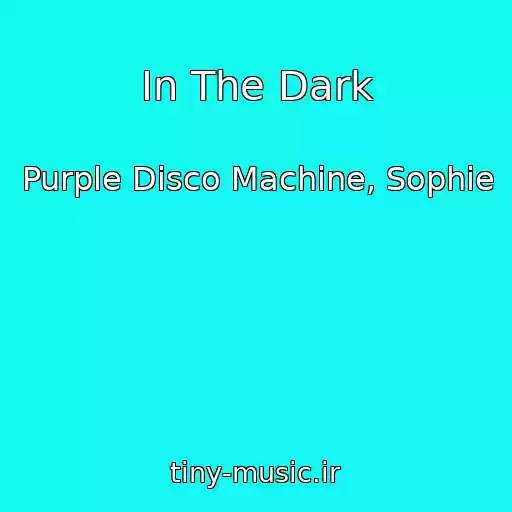 کاور آهنگ In The Dark از Purple Disco Machine, Sophie