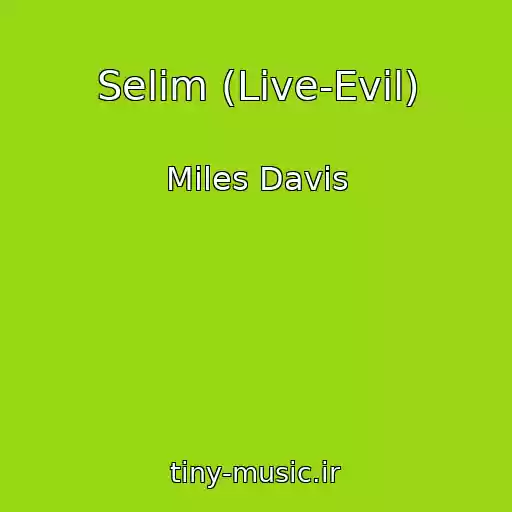 کاور آهنگ Selim (Live-Evil) از Miles Davis