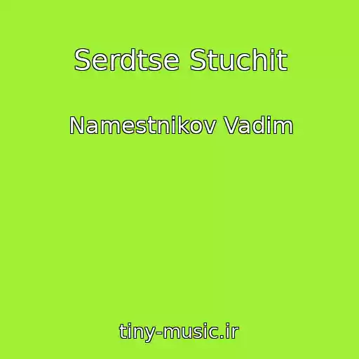کاور آهنگ Serdtse Stuchit از Namestnikov Vadim