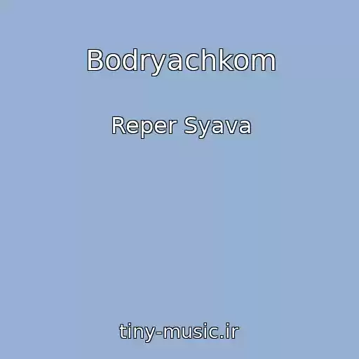 کاور آهنگ Bodryachkom از Reper Syava