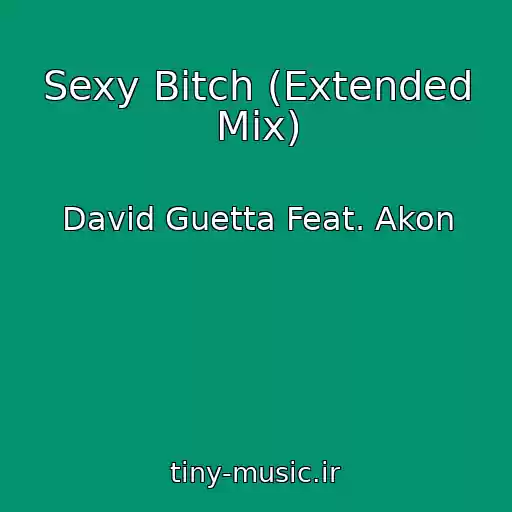 کاور آهنگ Sexy Bitch (Extended Mix) از David Guetta Feat. Akon
