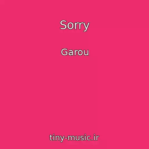 کاور آهنگ Sorry از Garou