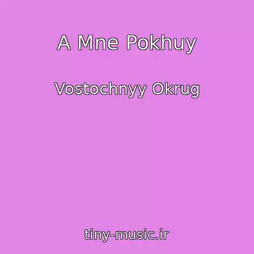 کاور آهنگ A Mne Pokhuy از Vostochnyy Okrug