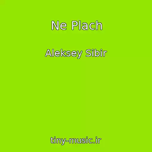 کاور آهنگ Ne Plach از Aleksey Sibir