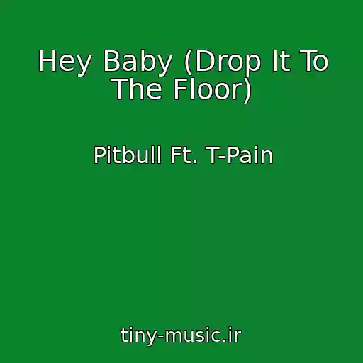 کاور آهنگ Hey Baby (Drop It To The Floor) از Pitbull Ft. T-Pain