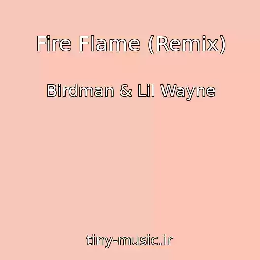 کاور آهنگ Fire Flame (Remix) از Birdman & Lil Wayne