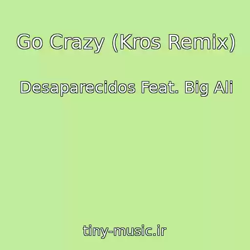 کاور آهنگ Go Crazy (Kros Remix) از Desaparecidos Feat. Big Ali