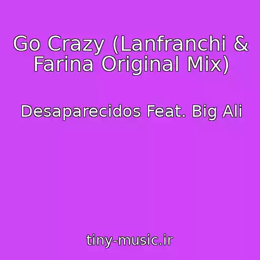 کاور آهنگ Go Crazy (Lanfranchi & Farina Original Mix) از Desaparecidos Feat. Big Ali