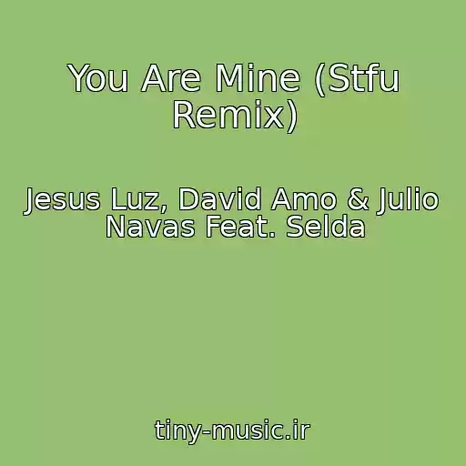 کاور آهنگ You Are Mine (Stfu Remix) از Jesus Luz, David Amo & Julio Navas Feat. Selda