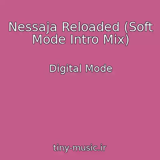 کاور آهنگ Nessaja Reloaded (Soft Mode Intro Mix) از Digital Mode