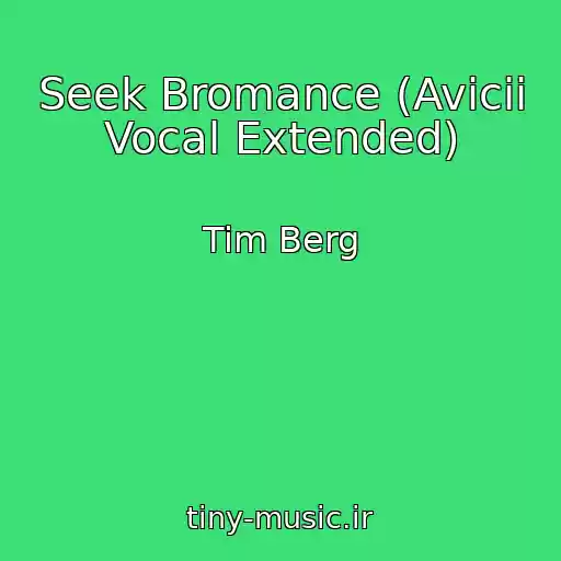کاور آهنگ Seek Bromance (Avicii Vocal Extended) از Tim Berg