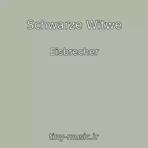 کاور آهنگ Schwarze Witwe از Eisbrecher