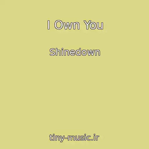 کاور آهنگ I Own You از Shinedown