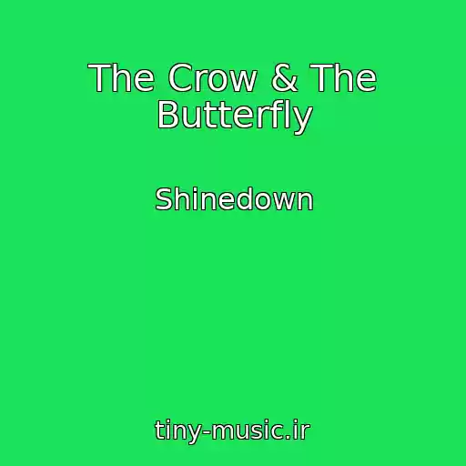 کاور آهنگ The Crow & The Butterfly از Shinedown