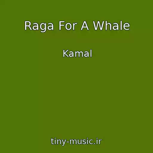 کاور آهنگ Raga For A Whale از Kamal