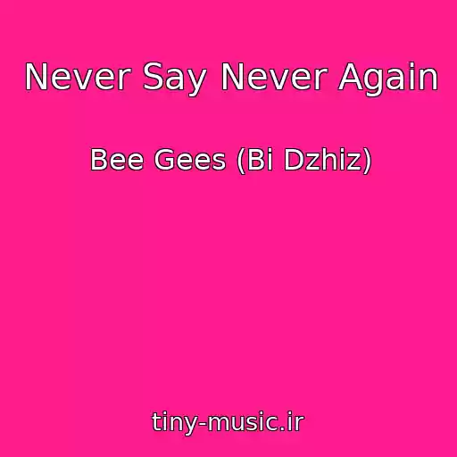 کاور آهنگ Never Say Never Again از Bee Gees (Bi Dzhiz)