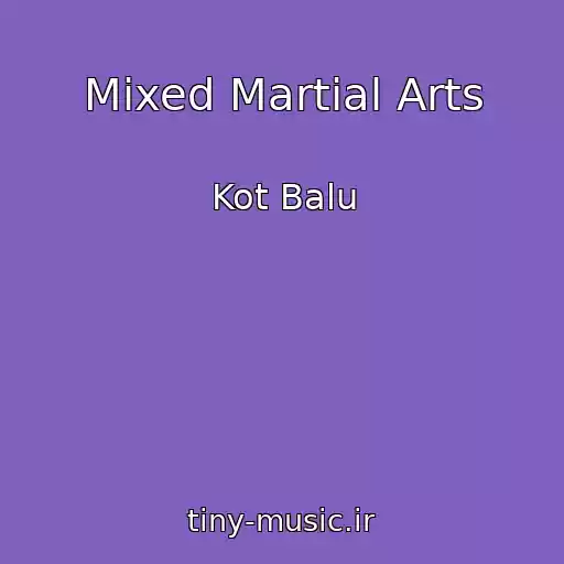 کاور آهنگ Mixed Martial Arts از Kot Balu