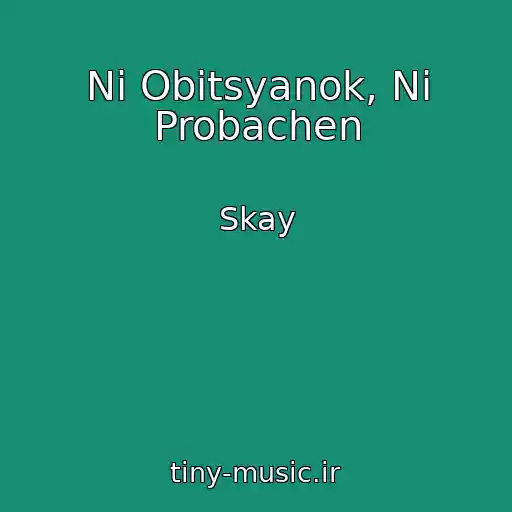 کاور آهنگ Nі Obіtsyanok, Nі Probachen از Skay