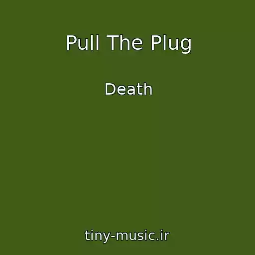 کاور آهنگ Pull The Plug از Death