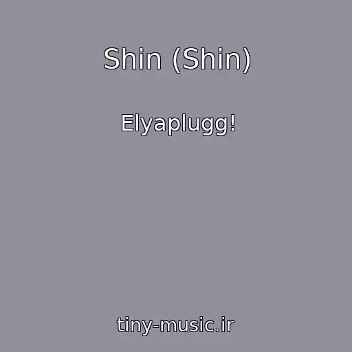 کاور آهنگ Shin (Shin) از Elyaplugg!