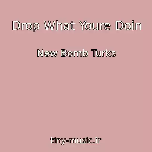 کاور آهنگ Drop What Youre Doin از New Bomb Turks