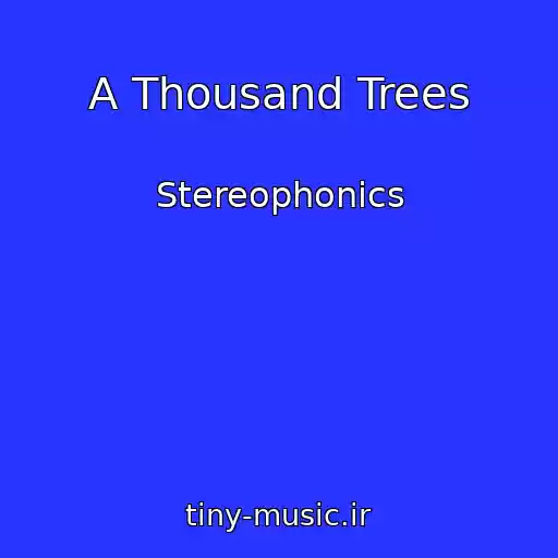 کاور آهنگ A Thousand Trees از Stereophonics