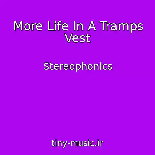کاور آهنگ More Life In A Tramps Vest از Stereophonics