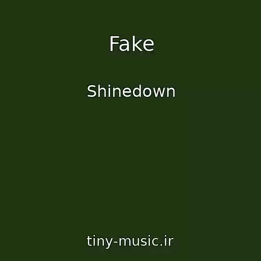 کاور آهنگ Fake از Shinedown