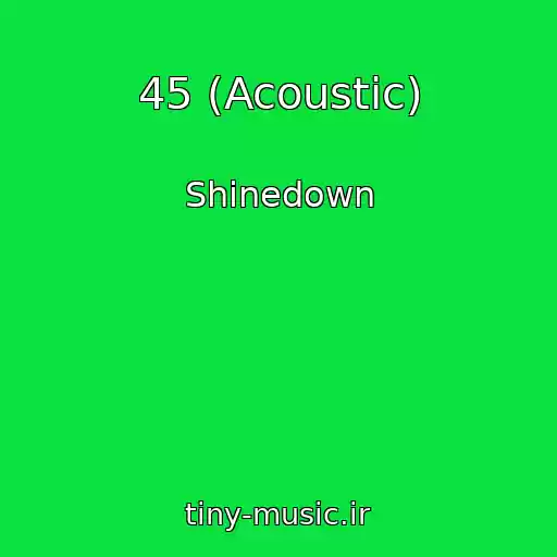 کاور آهنگ 45 (Acoustic) از Shinedown