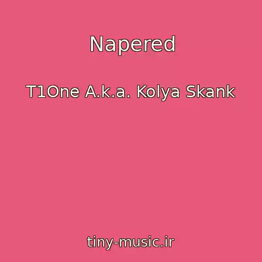 کاور آهنگ Napered از T1One A.k.a. Kolya Skank