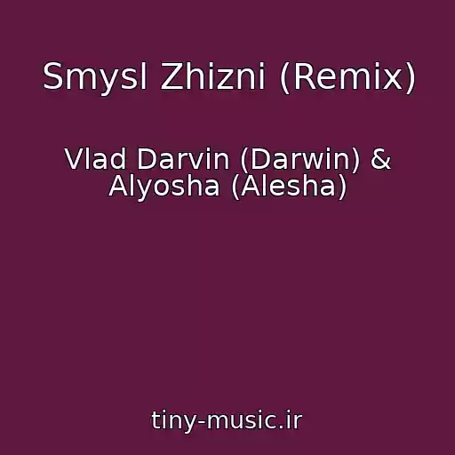 کاور آهنگ Smysl Zhizni (Remix) از Vlad Darvin (Darwin) & Alyosha (Alesha)