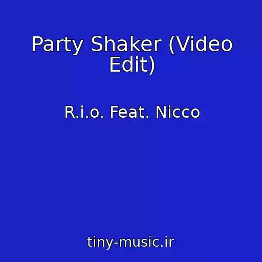 کاور آهنگ Party Shaker (Video Edit) از R.i.o. Feat. Nicco