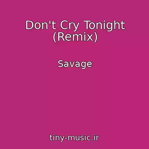 کاور آهنگ Don't Cry Tonight (Remix) از Savage