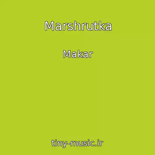 کاور آهنگ Marshrutka از Makar