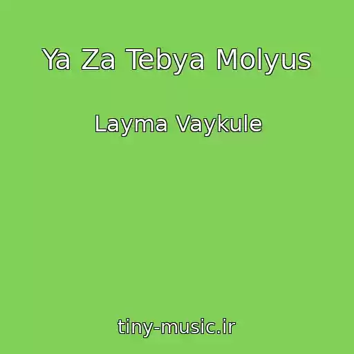 کاور آهنگ Ya Za Tebya Molyus از Layma Vaykule