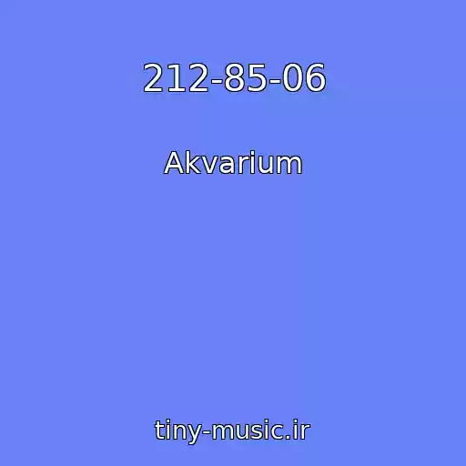 کاور آهنگ 212-85-06 از Akvarium