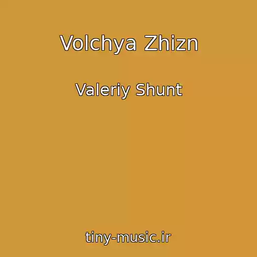 کاور آهنگ Volchya Zhizn از Valeriy Shunt