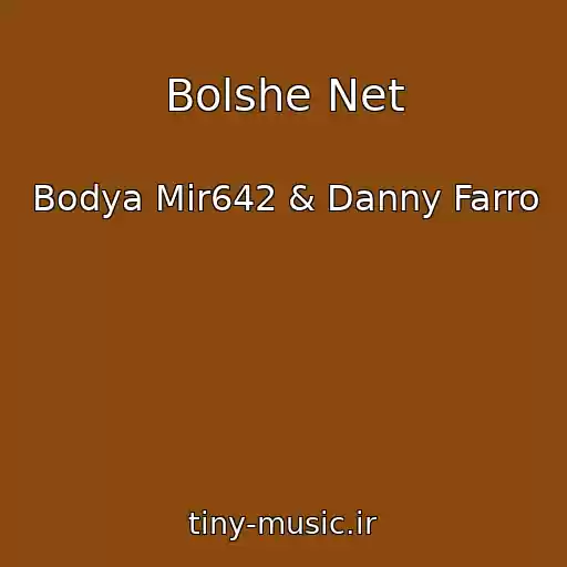 کاور آهنگ Bolshe Net از Bodya Mir642 & Danny Farro