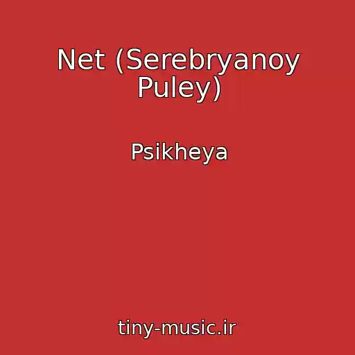 کاور آهنگ Net (Serebryanoy Puley) از Psikheya