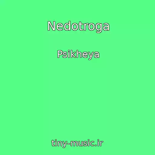 کاور آهنگ Nedotroga از Psikheya